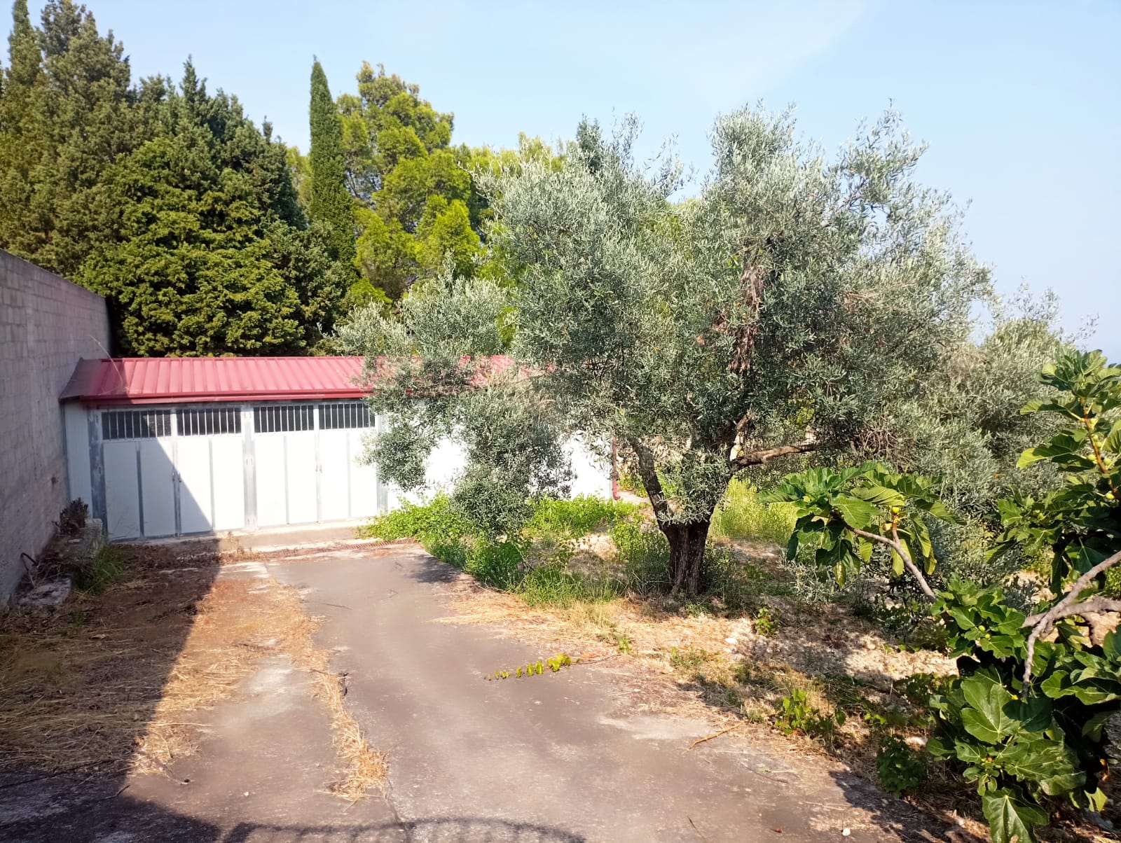Terreno in vendita a Placanica RC