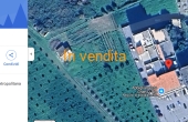 FCAU7_geolocal